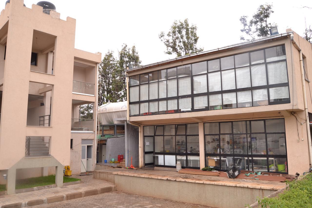 Grand Gato Hotel And Tours Harar Exteriér fotografie
